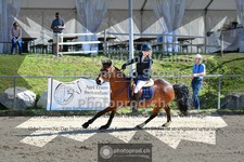 ref. photo 3605297