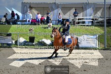ref. photo 3605298