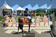 ref. photo 3605305