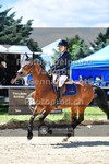 ref. photo 3605307