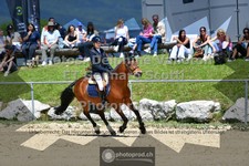 ref. photo 3605310