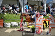 ref. photo 3605312