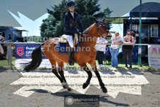 ref. photo 3605317