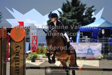 ref. photo 3605322