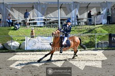 ref. photo 3605373