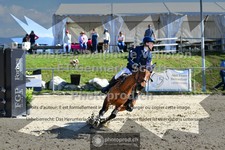 ref. photo 3605374