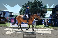 ref. photo 3605391
