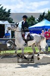 ref. photo 3605416