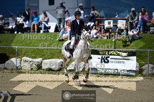 ref. photo 3605418