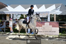 ref. photo 3605424