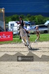 ref. photo 3605435