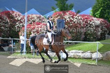 ref. photo 3605508