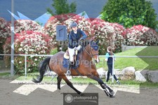 ref. photo 3605524