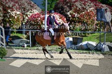 ref. photo 3605542