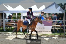 ref. photo 3605565