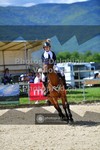 ref. photo 3605573
