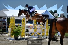 ref. photo 3605595