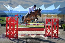 ref. photo 3605601