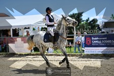 ref. photo 3605611