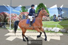 ref. photo 3605661