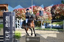 ref. photo 3605670