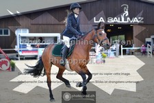 ref. photo 3605715