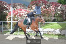 ref. photo 3605722