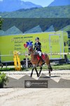 ref. photo 3605723