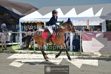 ref. photo 3605736