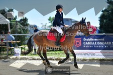 ref. photo 3605737