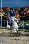 ref. photo 3605799