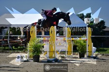 ref. photo 3605840