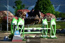 ref. photo 3605843