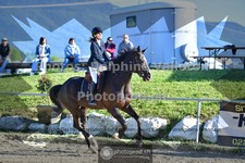 ref. photo 3605849