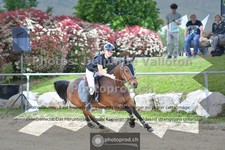 ref. photo 3605899