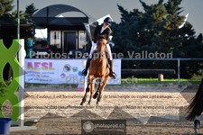 ref. photo 3605905