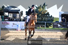 ref. photo 3605906