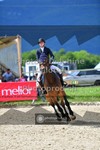 ref. photo 3605922