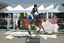 ref. photo 3605960