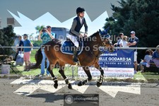 ref. photo 3605961