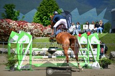 ref. photo 3605990