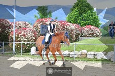 ref. photo 3606010