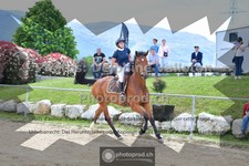 ref. photo 3606024