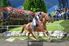ref. photo 3606049