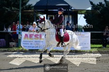 ref. photo 3606050