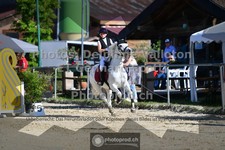 ref. photo 3606071