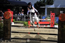 ref. photo 3606087