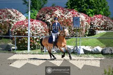 ref. photo 3606092