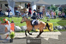 ref. photo 3606094