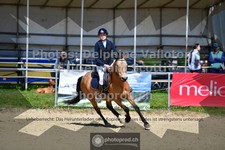 ref. photo 3606098